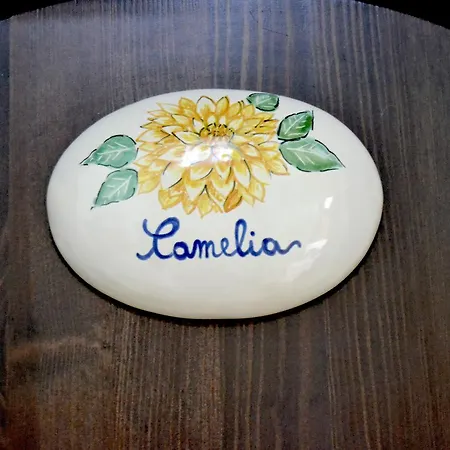 Salento אכסניה